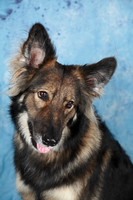 Agility February 2014