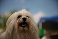 Delgado Animal Expo