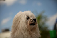 Delgado Animal Expo