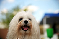 Delgado Animal Expo