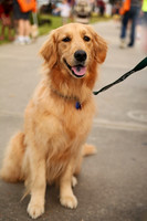Delgado Animal Expo