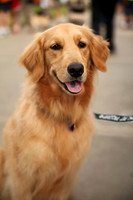 Delgado Animal Expo