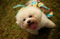 Delgado Animal Expo