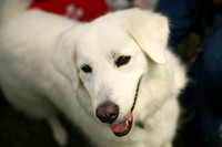 Delgado Animal Expo