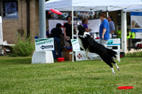 Delgado Animal Expo