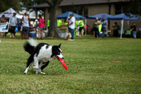 Delgado Animal Expo