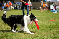 Delgado Animal Expo