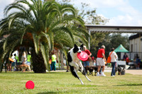 Delgado Animal Expo
