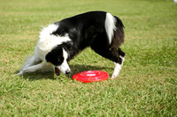 Delgado Animal Expo