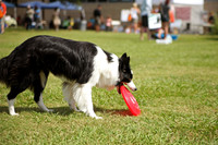 Delgado Animal Expo
