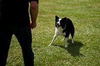 Delgado Animal Expo