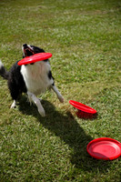 Delgado Animal Expo