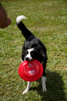 Delgado Animal Expo