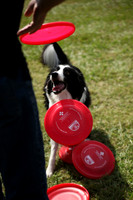 Delgado Animal Expo