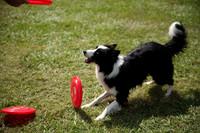 Delgado Animal Expo