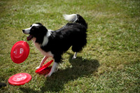 Delgado Animal Expo