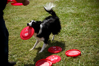 Delgado Animal Expo