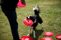 Delgado Animal Expo