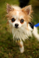 Delgado Animal Expo