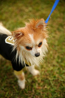 Delgado Animal Expo