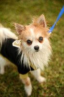 Delgado Animal Expo