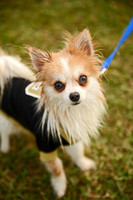 Delgado Animal Expo