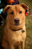Delgado Animal Expo