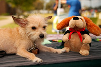 Delgado Animal Expo