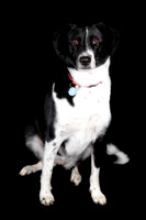Lucy