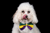 Snoopy