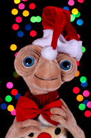 Christmas 2012