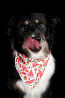 Lucy 2