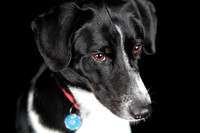 Lucy