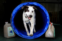 Agility April 2011