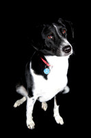 Lucy