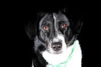 Lucy