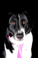 Lucy