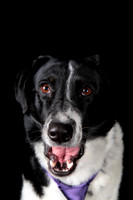 Lucy
