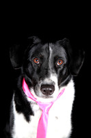 Lucy