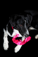 Lucy