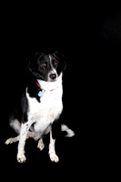 Lucy