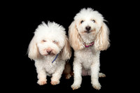 Benny & Stella