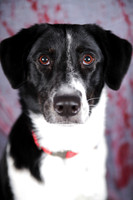 Lucy