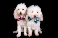 Benny & Stella