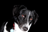 Lucy