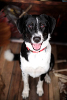 Lucy
