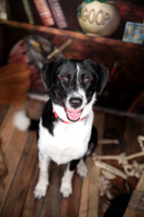 Lucy