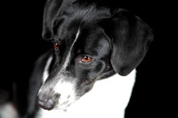 Lucy