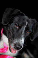 Lucy