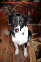 Lucy